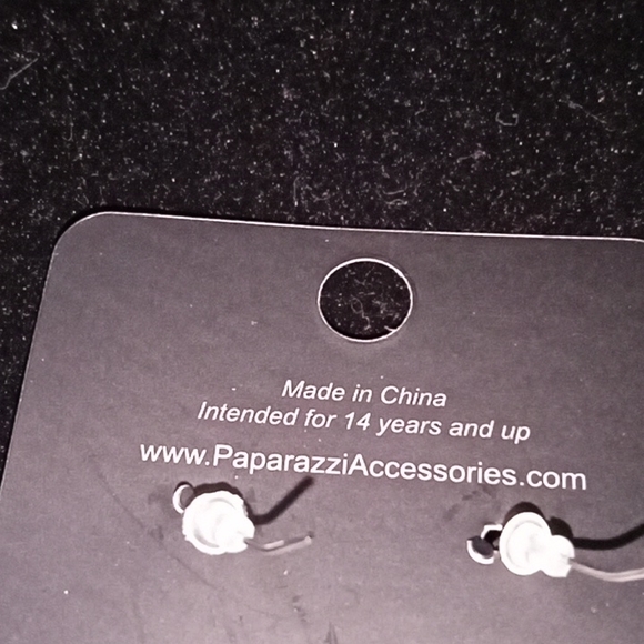 Paparazzi Silver Tone Earrings - Picture 3 of 4